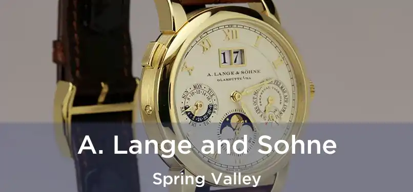  A. Lange and Sohne Spring Valley
