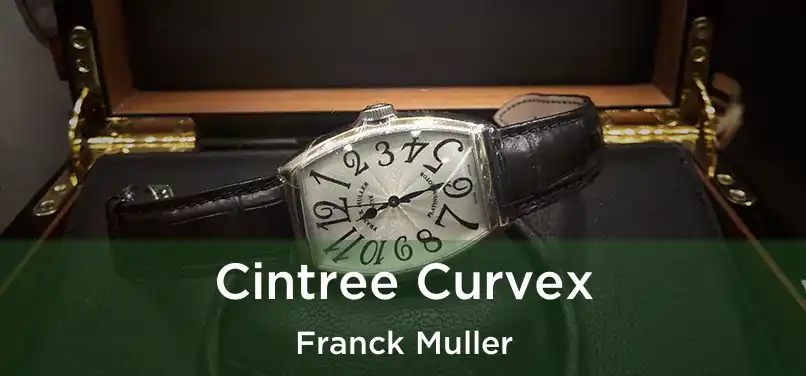  Cintree Curvex Franck Muller
