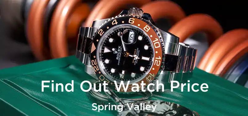  Find Out Watch Price Spring Valley