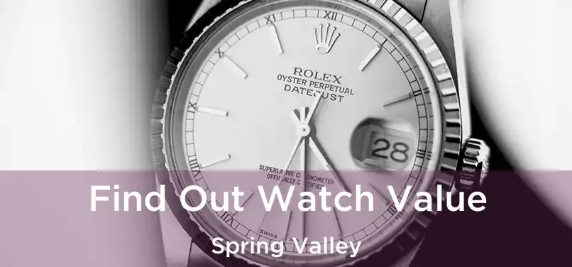  Find Out Watch Value Spring Valley