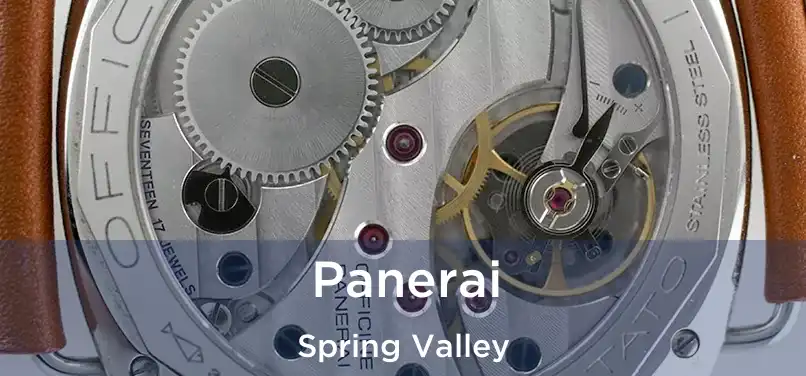  Panerai Spring Valley