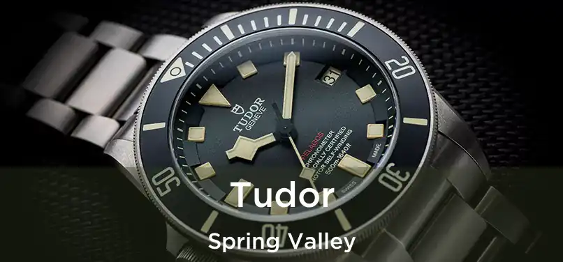  Tudor Spring Valley