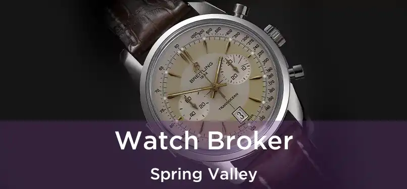  Watch Broker Spring Valley