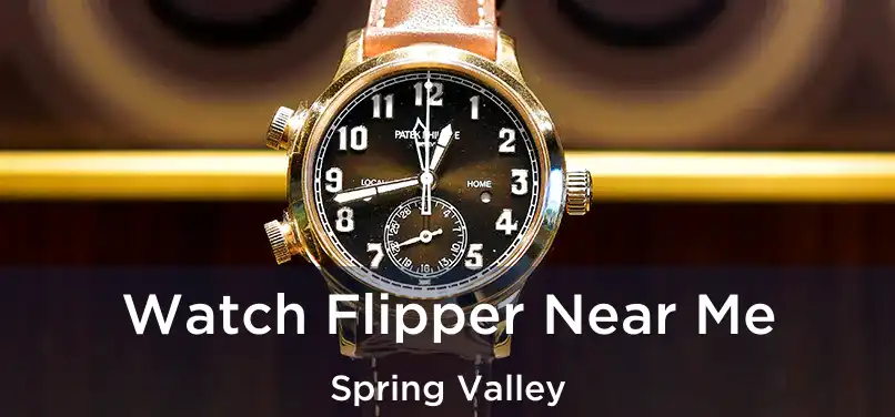  Watch Flipper Near Me Spring Valley